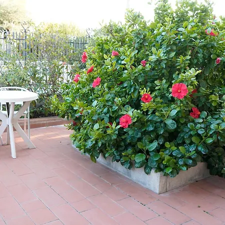 Sogni D'oro 3* Scafati